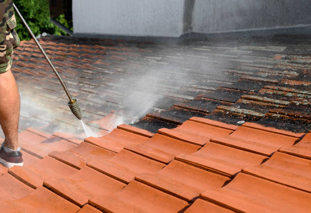 Best Pressure Washing Company Near Me  in Elbow Lake, MN