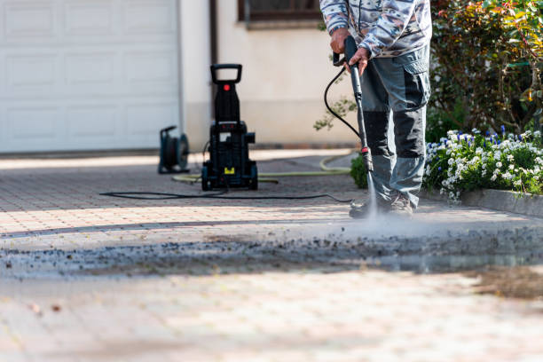 Best Pressure Washing Company Near Me  in Elbow Lake, MN