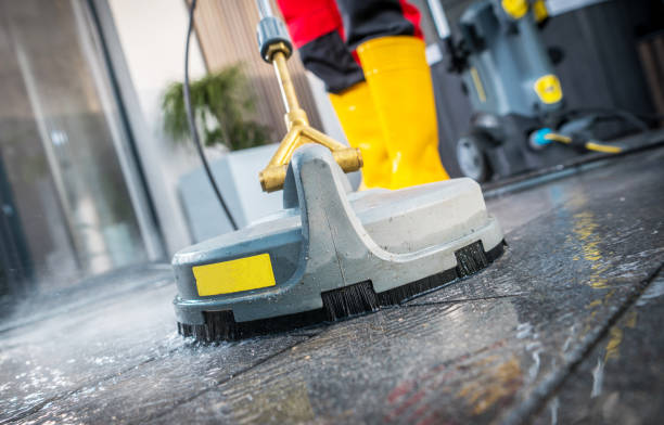 Best House Pressure Washing  in Elbow Lake, MN