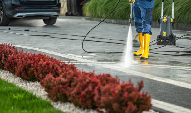 Best Concrete Pressure Washing  in Elbow Lake, MN