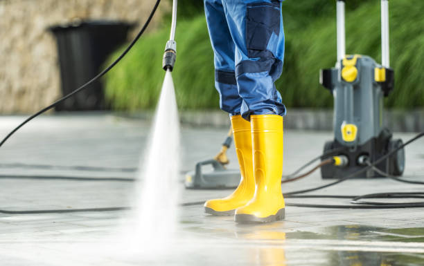 Roof Power Washing Services in Elbow Lake, MN