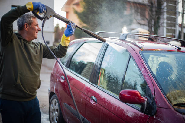 Best Pressure Washing Near Me  in Elbow Lake, MN